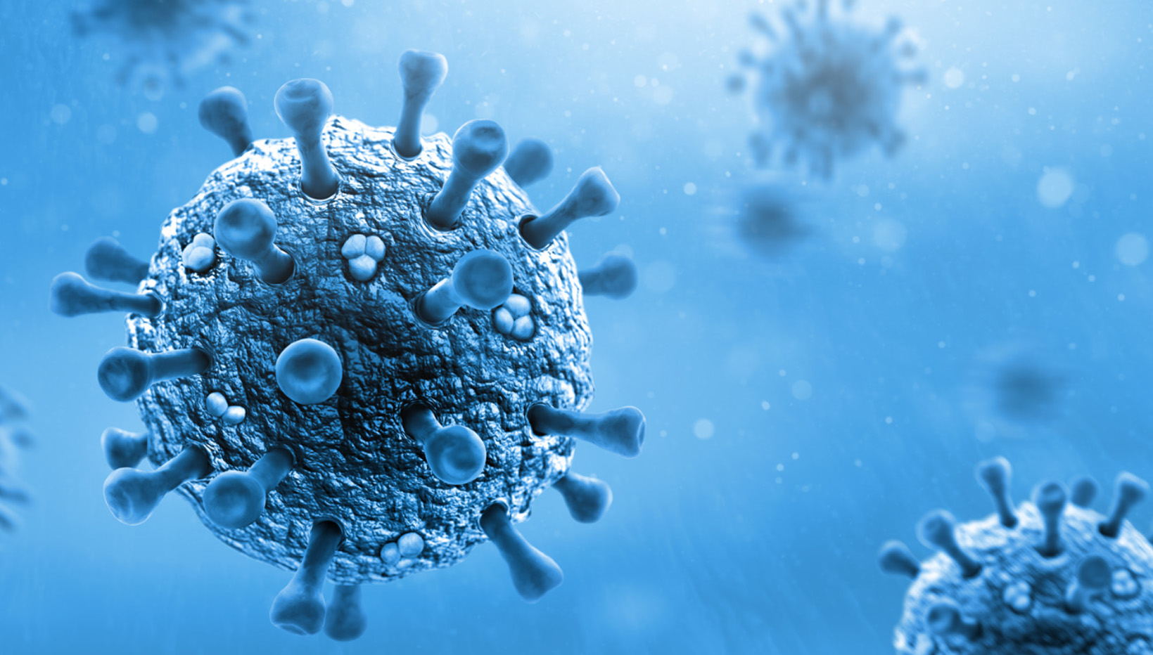 virus rhinopneumonie