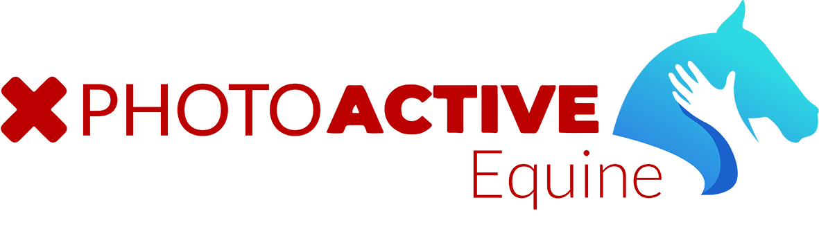 PhotoACTIVE Equine