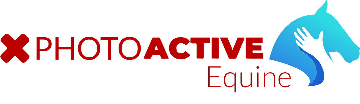 logo photoactive equine désinfection rémanente