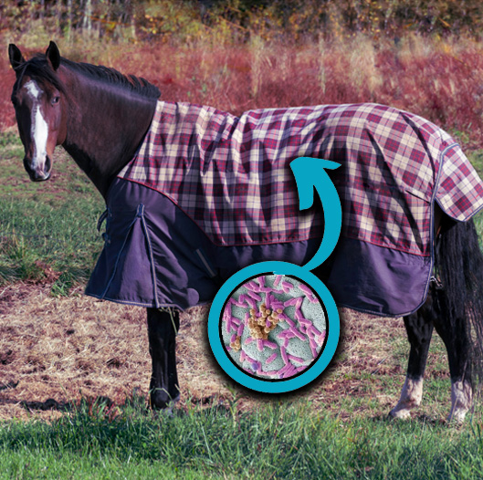désinfection-équipement-cheval-couvertures-photoactive-equine