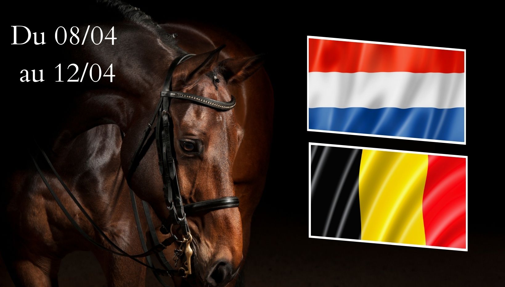 roadshow Belgique et Pays-Bas