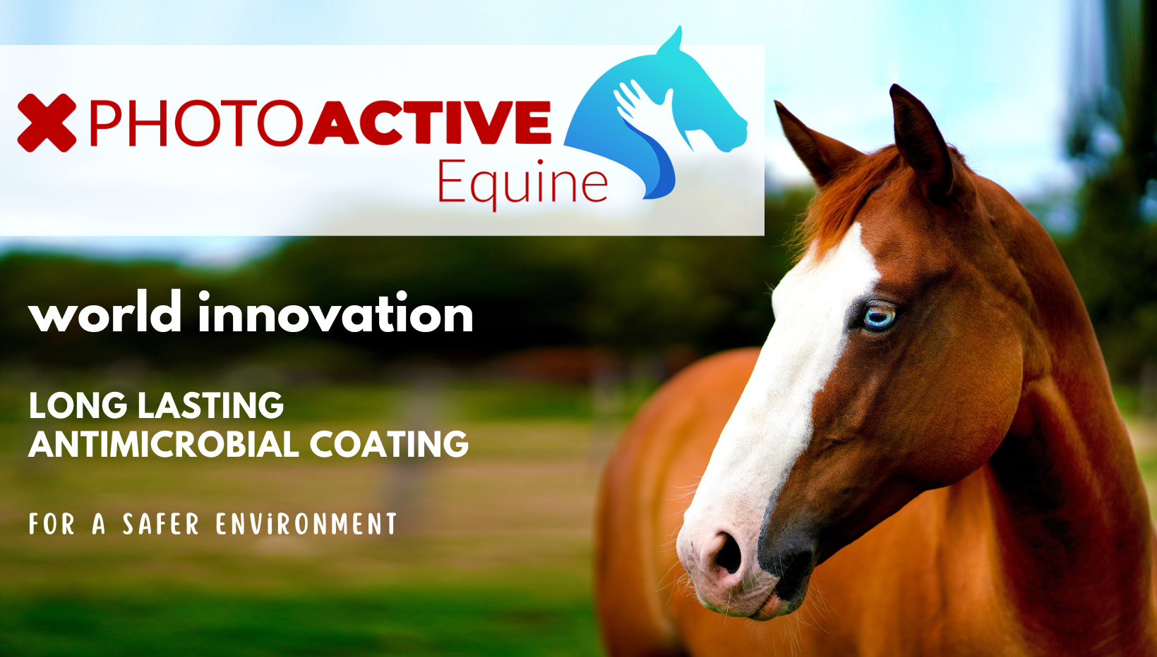 brochure photoactive equine