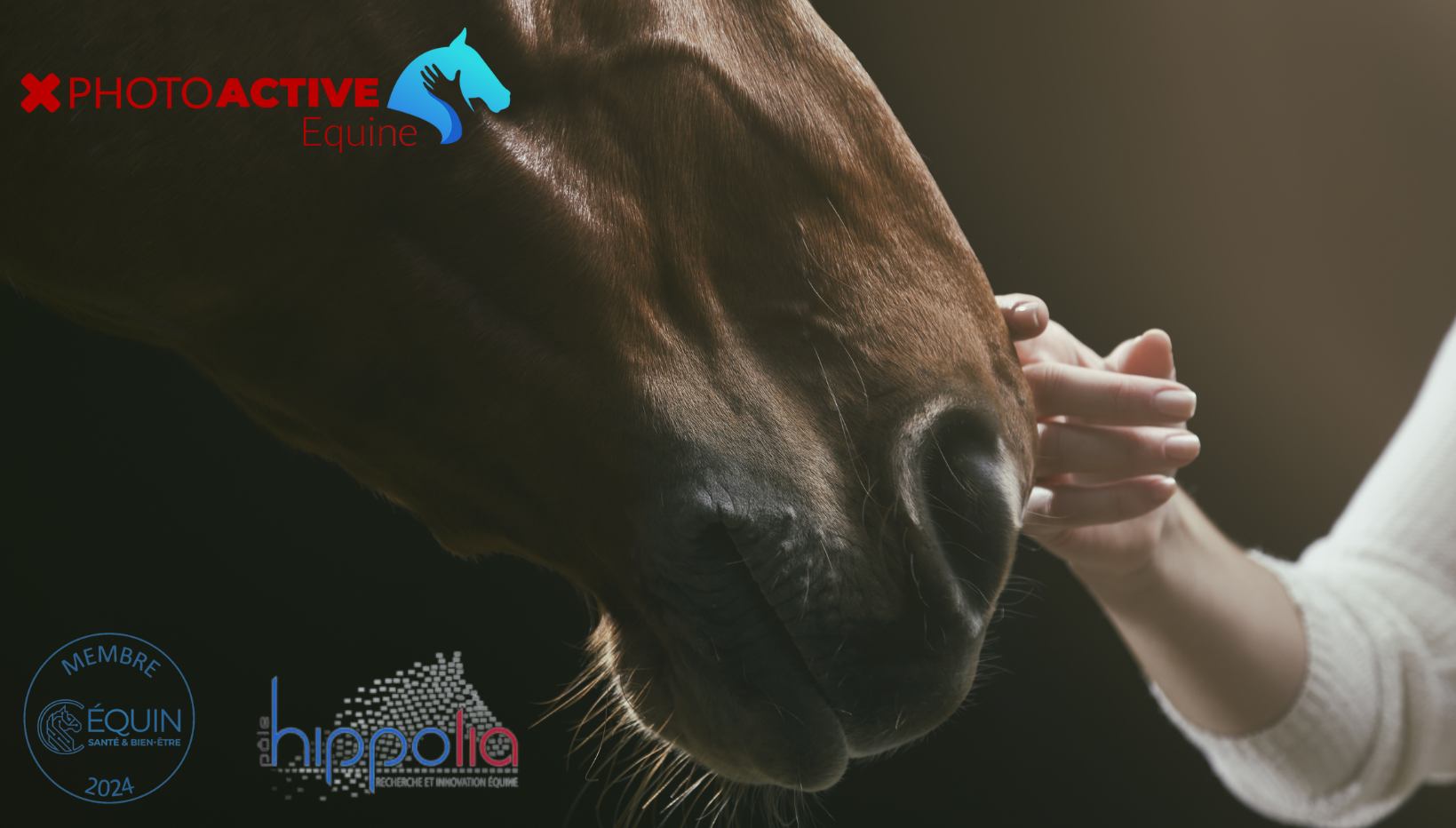 Adhésion Pôle Hippolia et Cluster Equin
