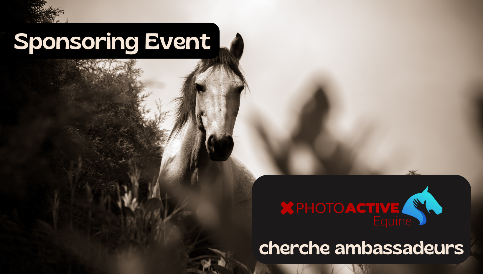 Sponsoring Event