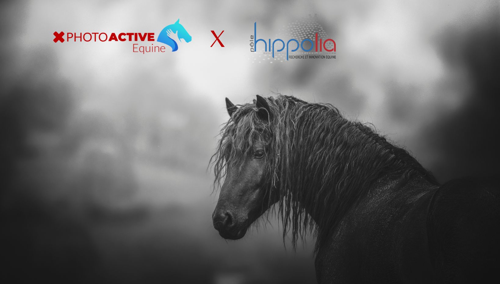 Adhésion pôle hippolia